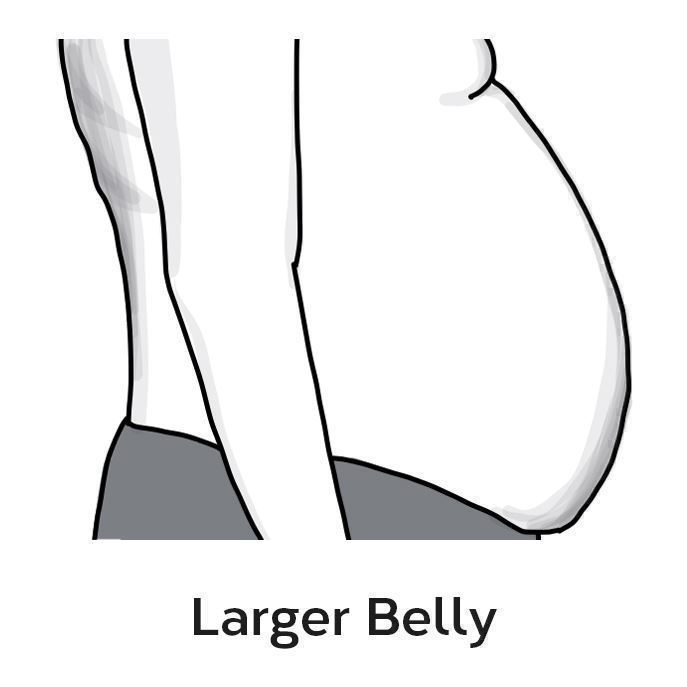 Larger Belly